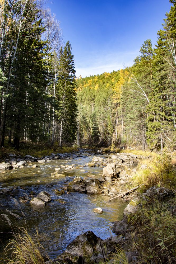 Фотография автора Анатолий Мацеля