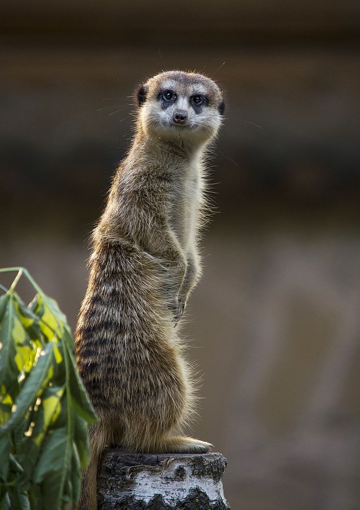 Photograph by Татьяна Титова