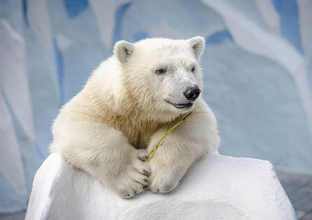 Photograph by Татьяна Титова