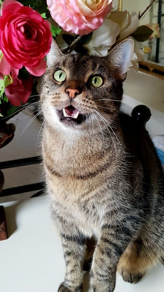 Photograph by Iris de Vos