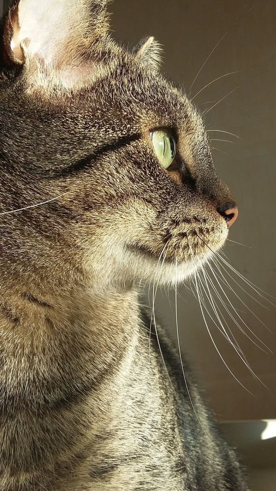 Photograph by Iris de Vos