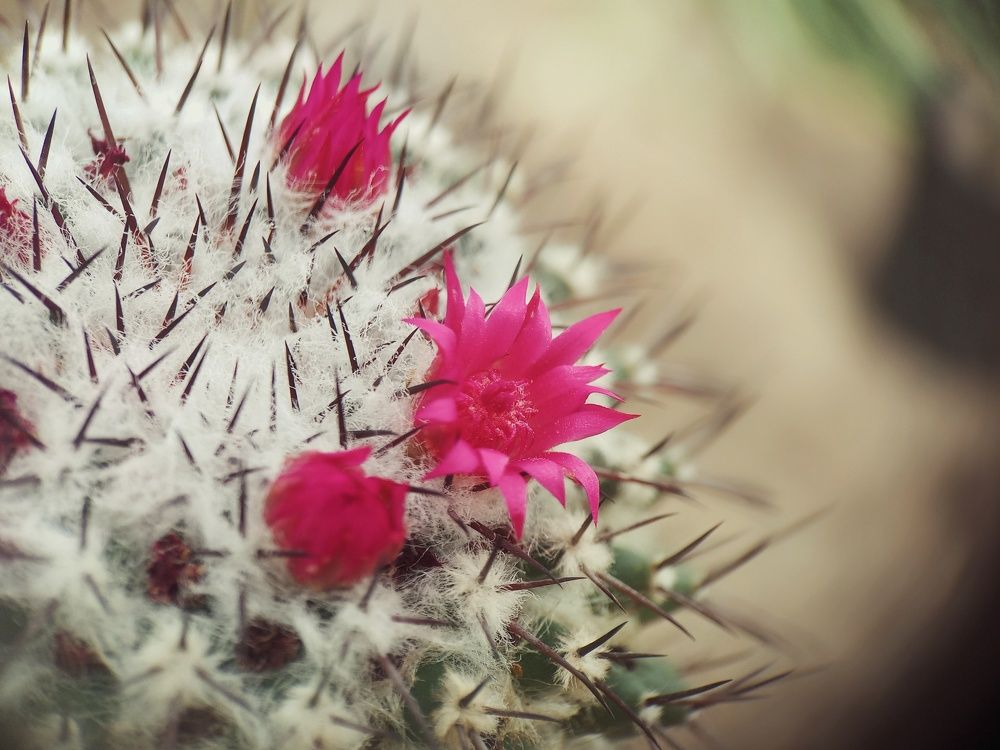 Photograph by Ольга Юминова