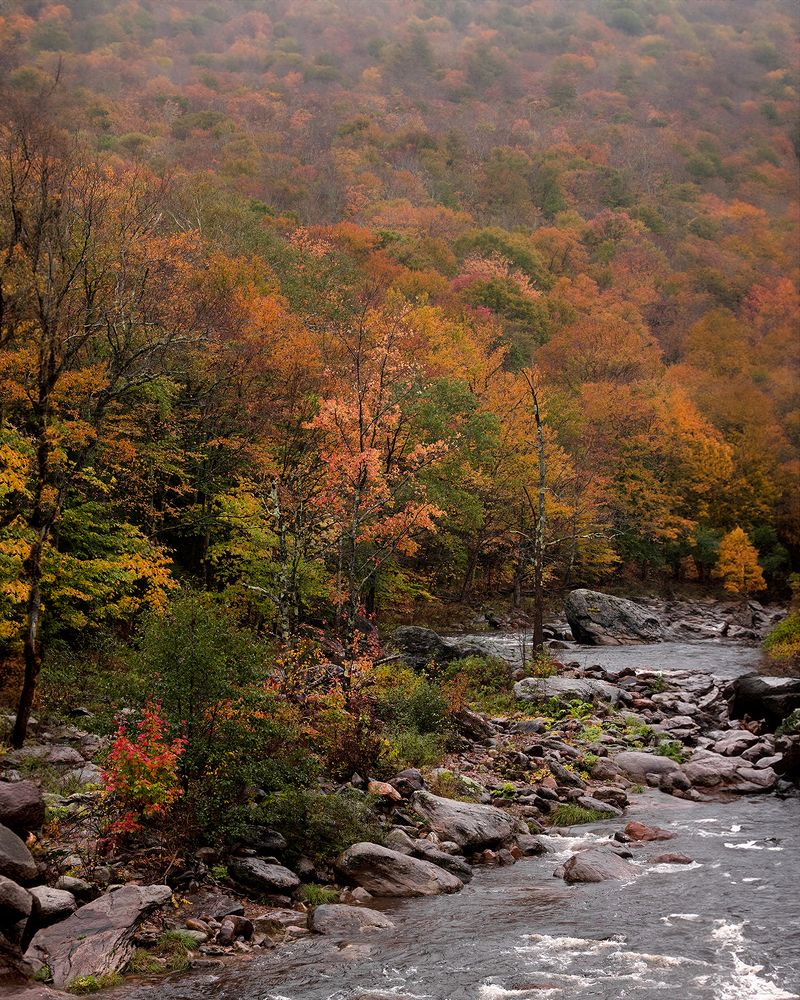 Photograph by Natalie Cartz