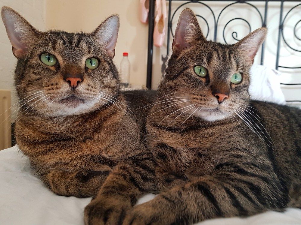 Photograph by Iris de Vos