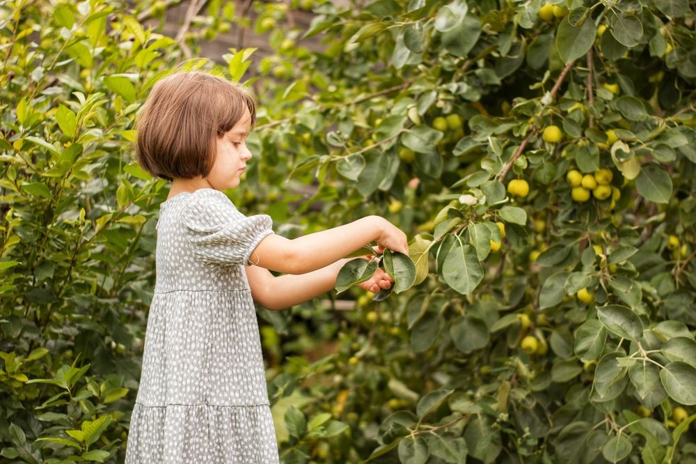 Photograph by Валерия Бойко