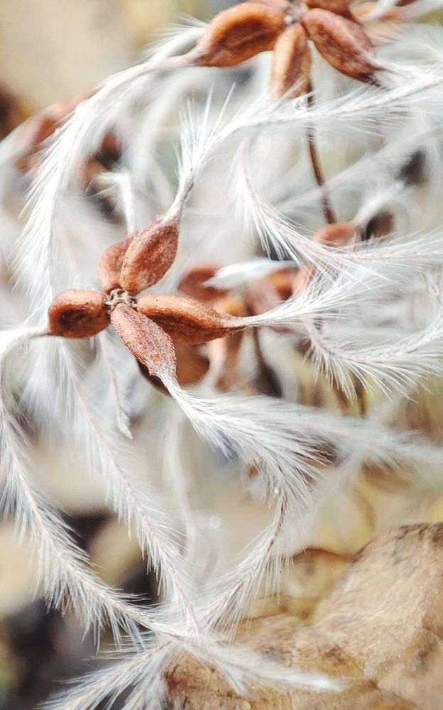 Photograph by Алина Эбель