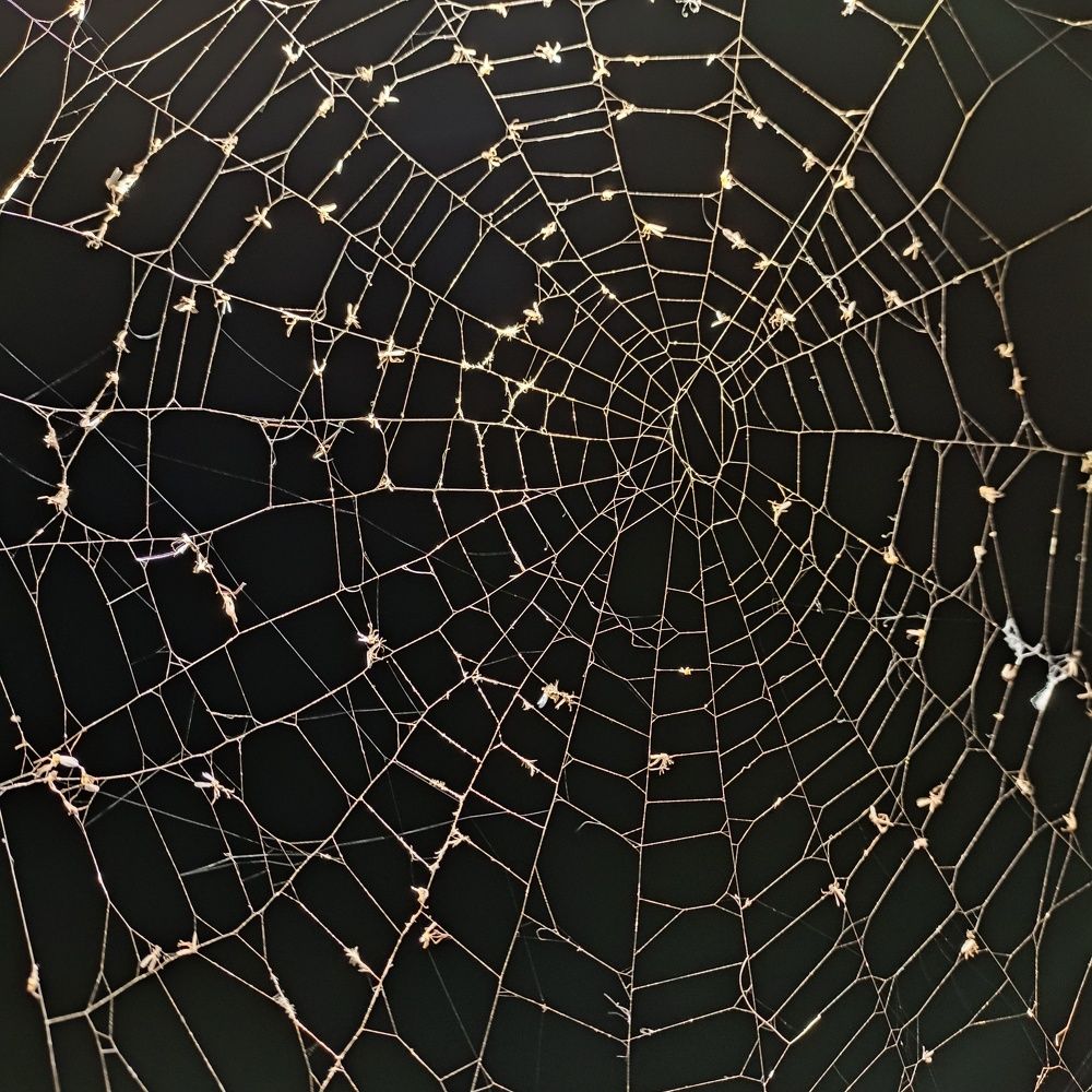 Photograph by Анастасия Горбачева