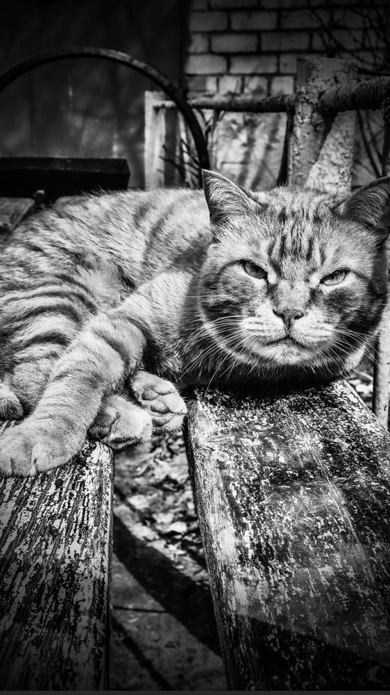 Photograph by Анна Дорофеева