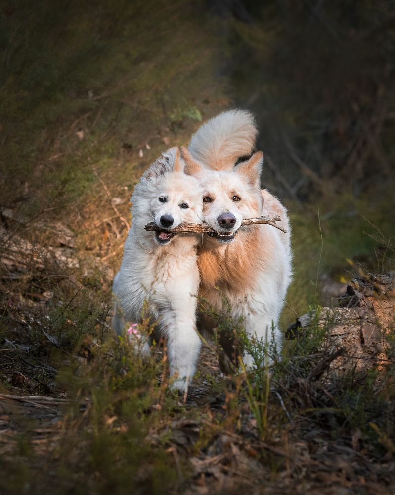 Фотография автора Dmitrijs Cernagovs