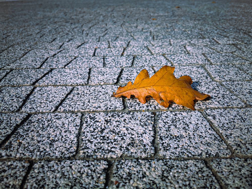Фотография автора Виталий Гавронский