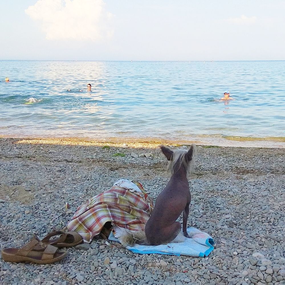 Photograph by Татьяна Кунц