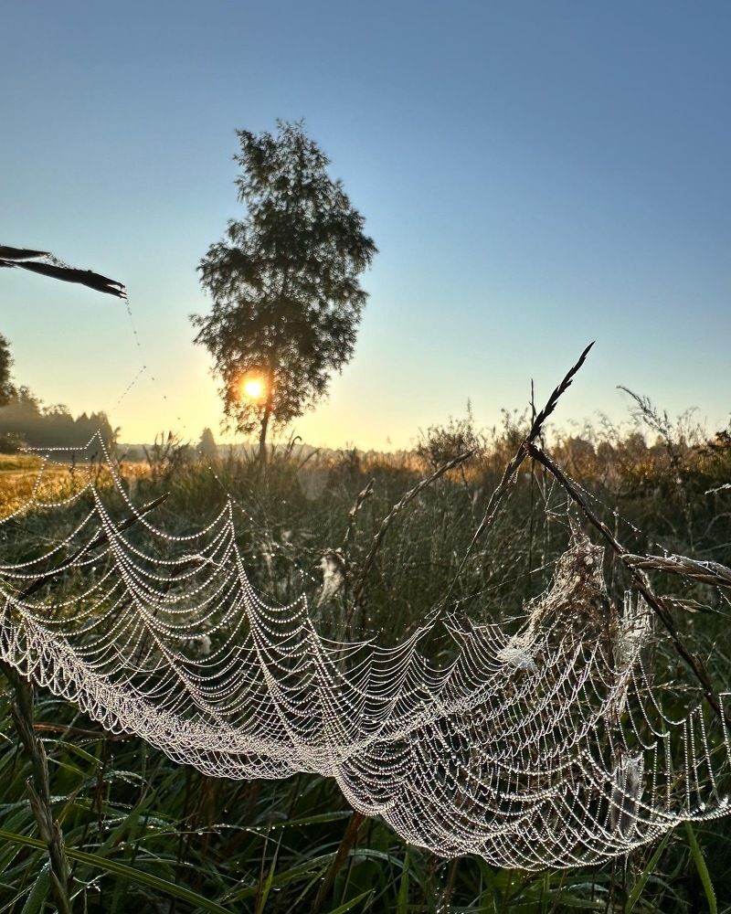 Photograph by Лариса Акинчиц
