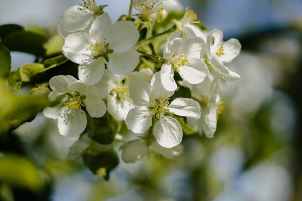 Photograph by Наталья Канарейкина