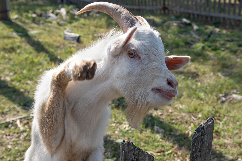 Photograph by Aleksei Utkin