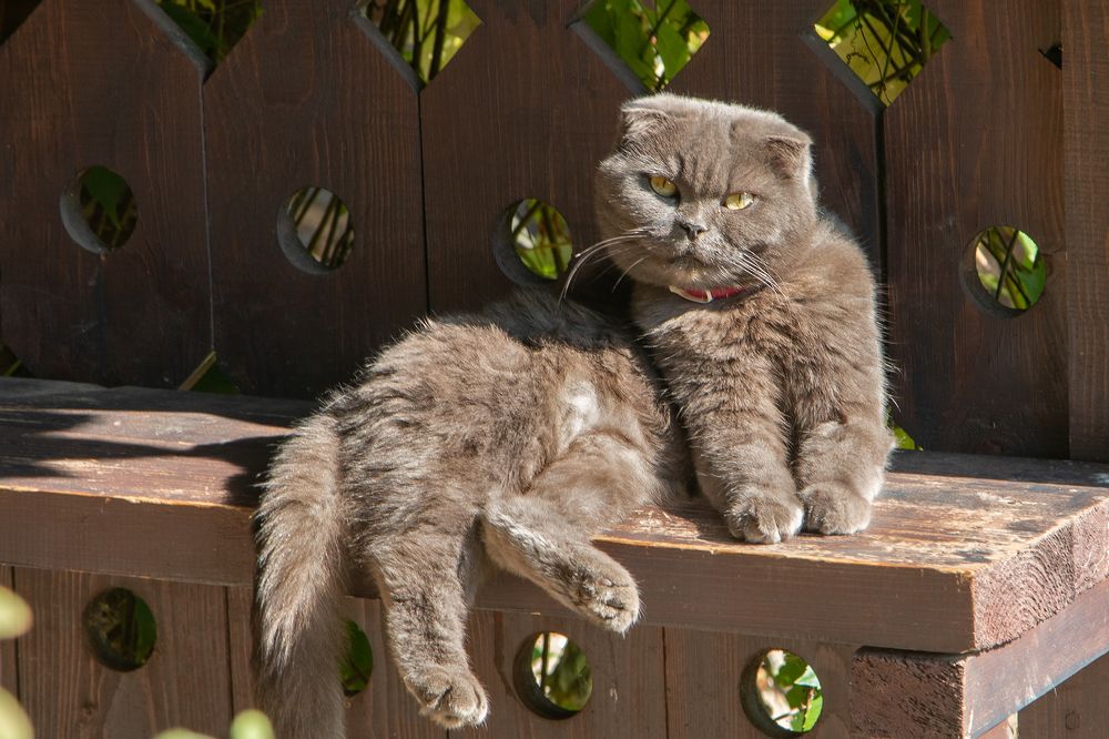 Photograph by Aleksei Utkin