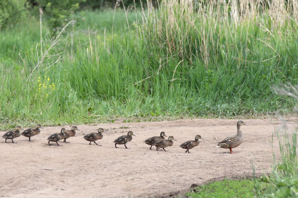 Photograph by Aleksei Utkin