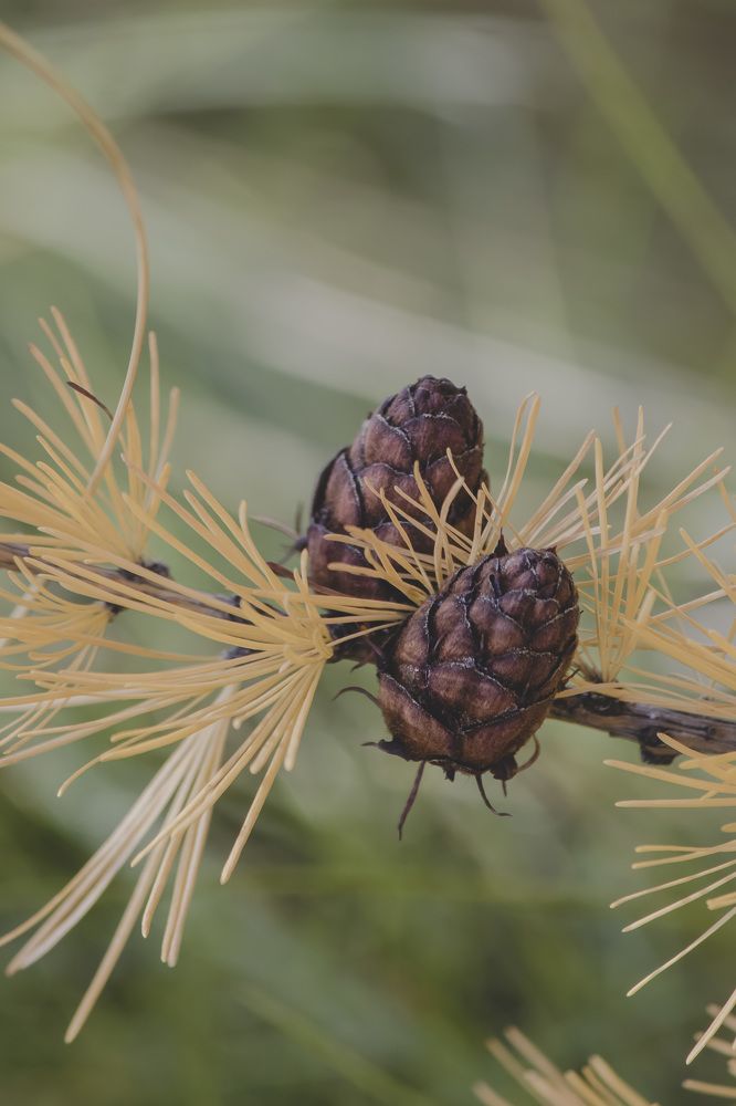 Photograph by Наталья Канарейкина