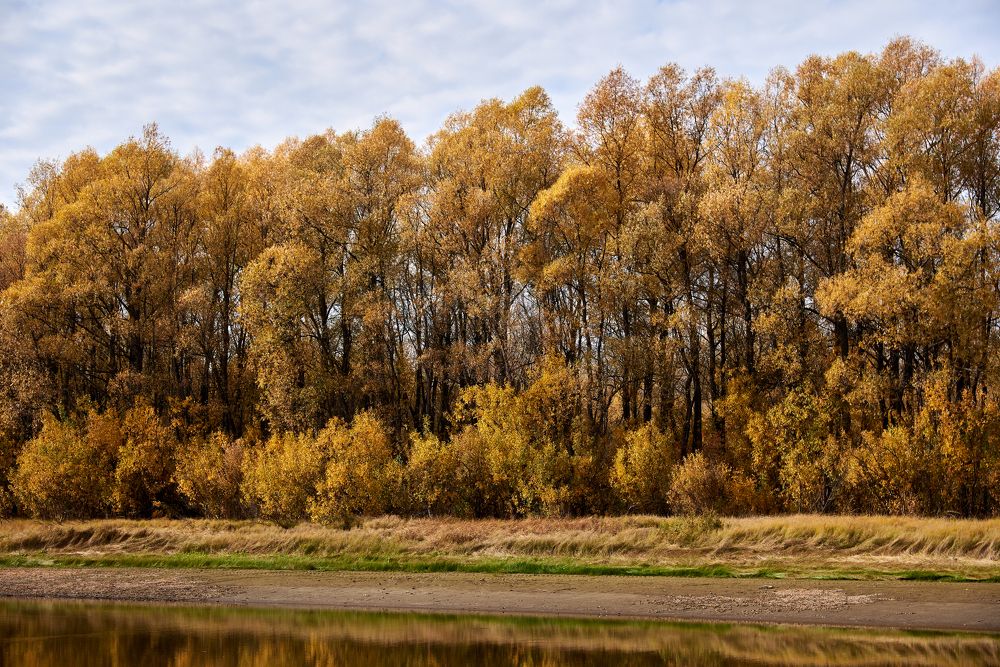 Photograph by Евгения Гловацкая