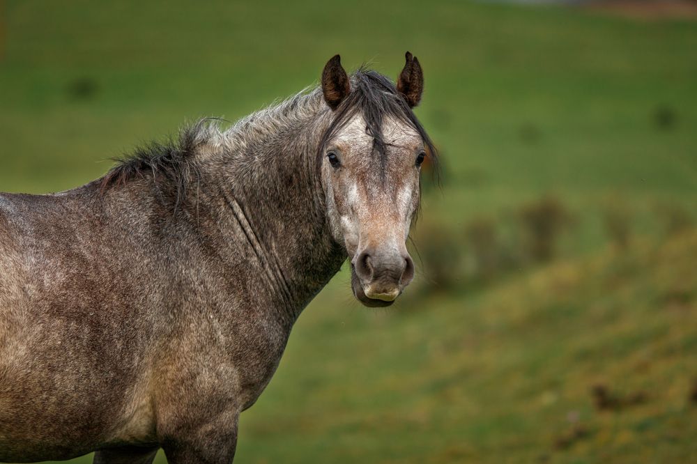 Photograph by Vyacheslav Bolyakin