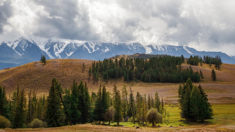 Photograph by Vyacheslav Bolyakin