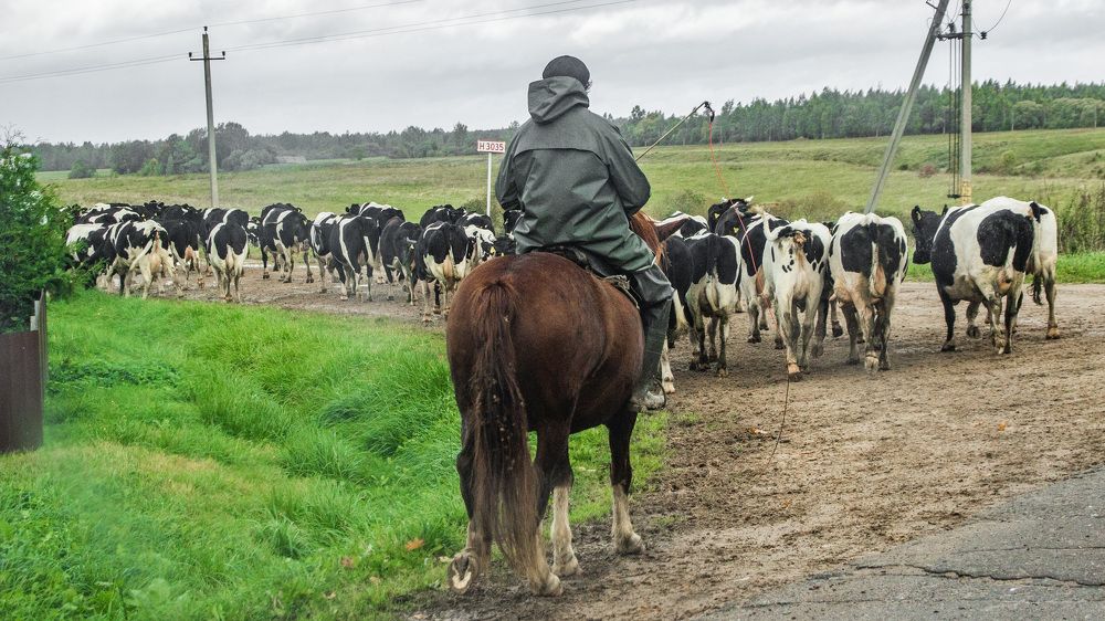 Photograph by Алексей Борисов