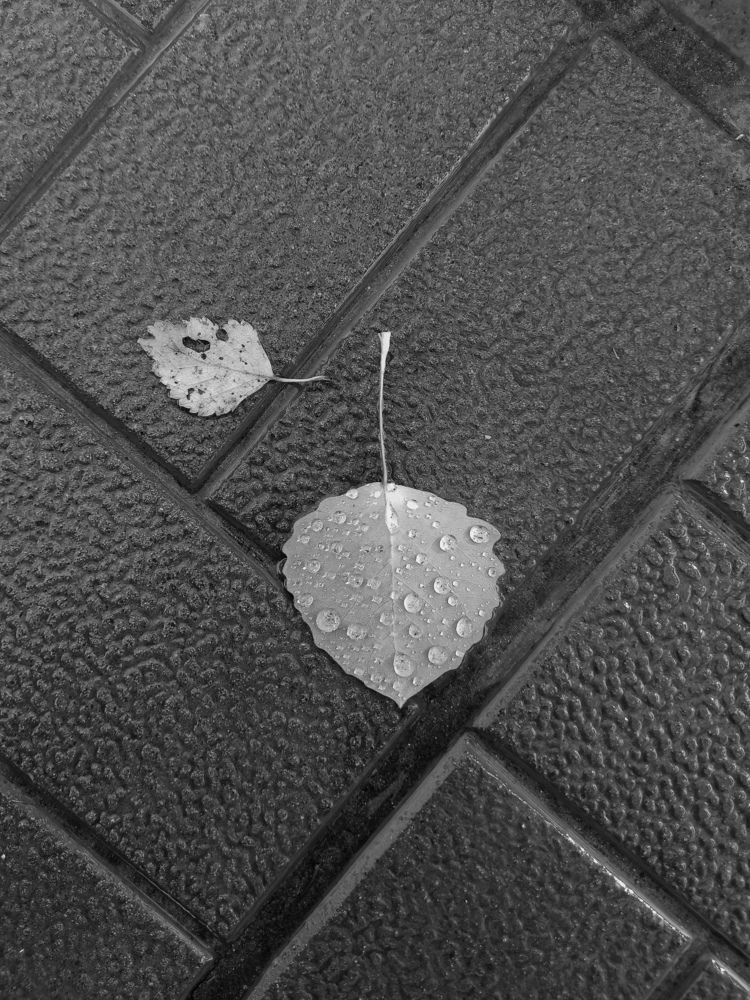 Photograph by Надежда Юшкова