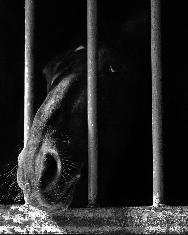 Photograph by Евгения Гловацкая