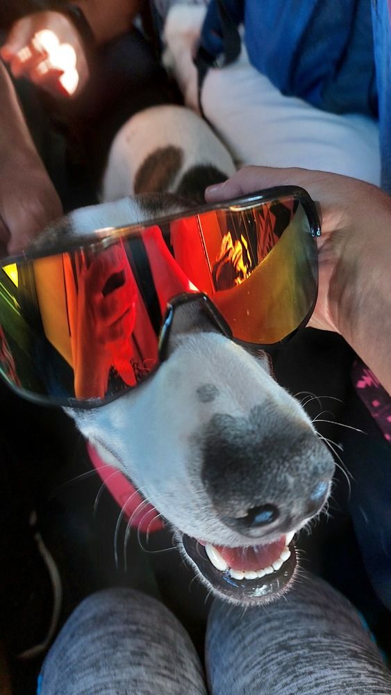 Photograph by Светлана