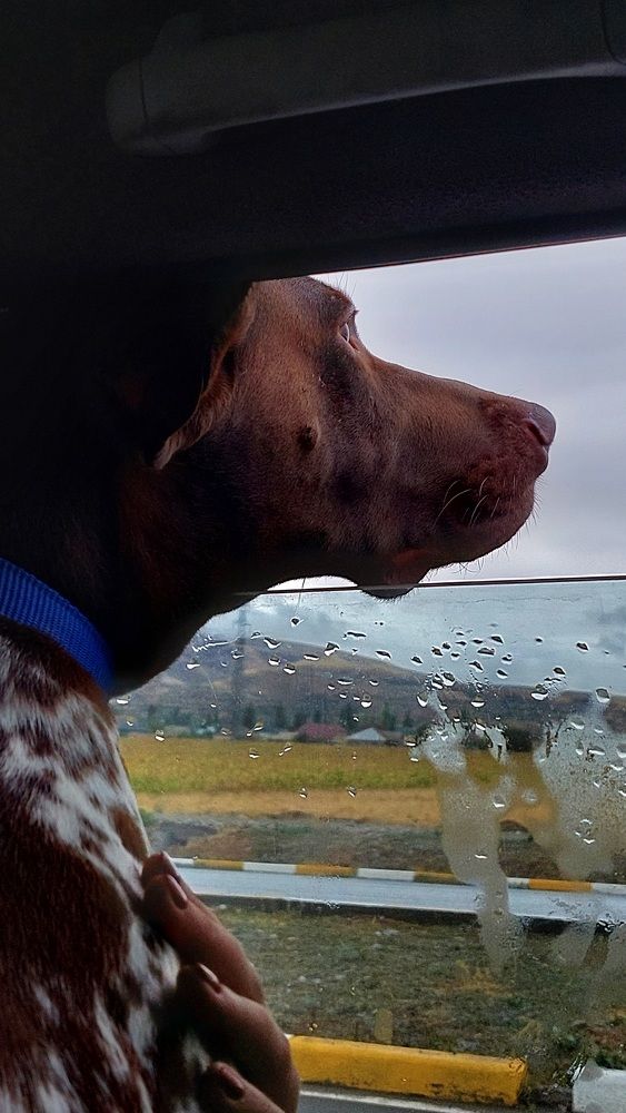 Photograph by Светлана