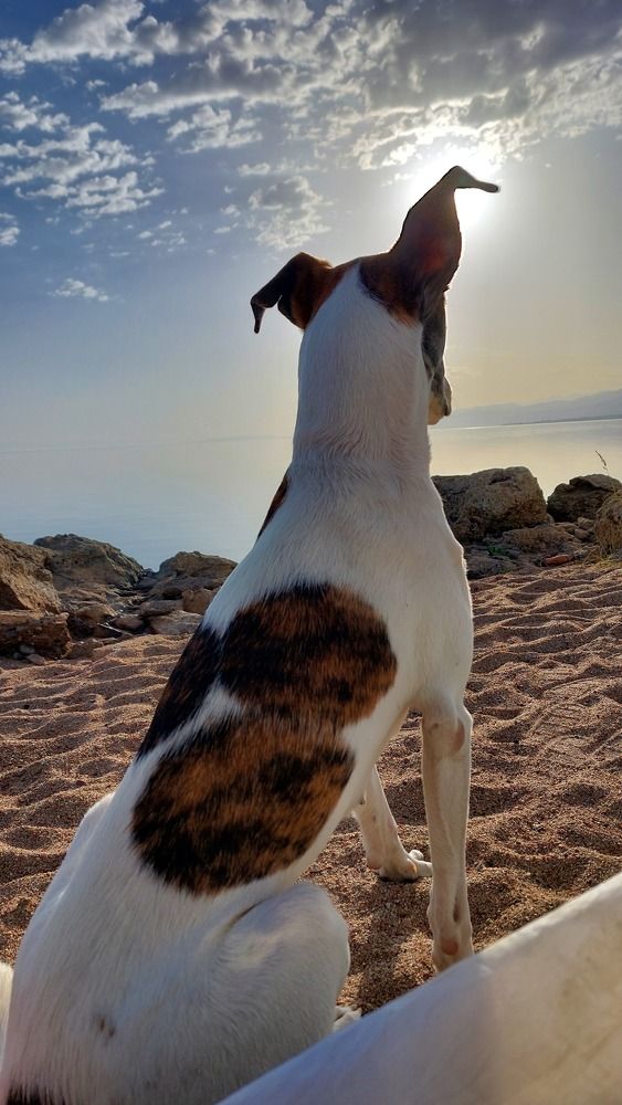 Photograph by Светлана