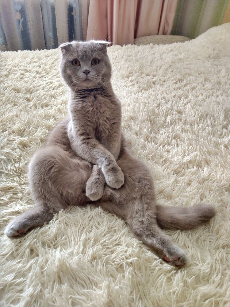 Photograph by Елена Силантьева