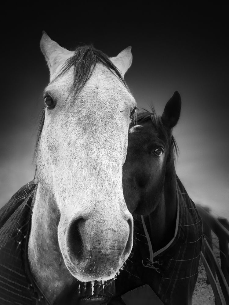 Photograph by Zhenhuan Zhou