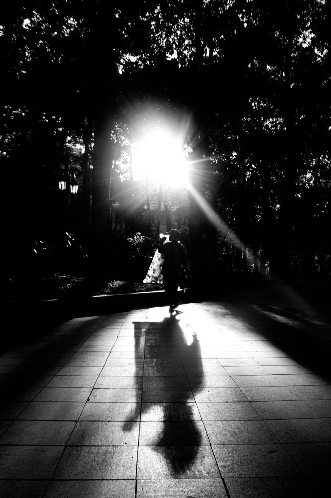 Photograph by Safy Nasiet