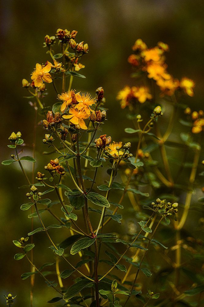 Photograph by Александр Удальчиков