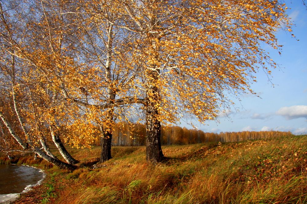 Фотография автора Nelya  Lysenko