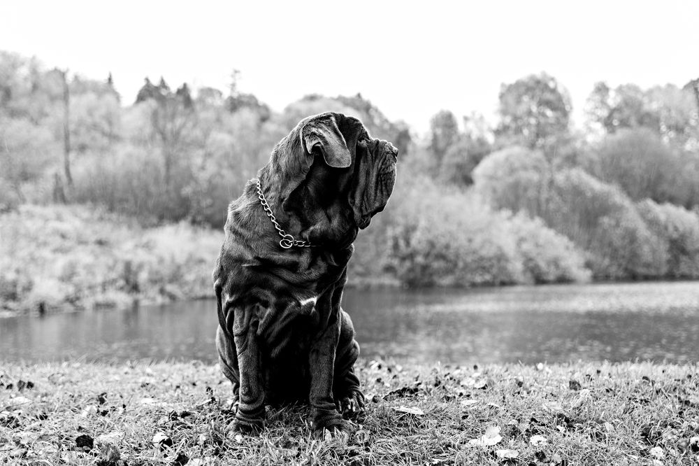 Photograph by Андрей Трубачев