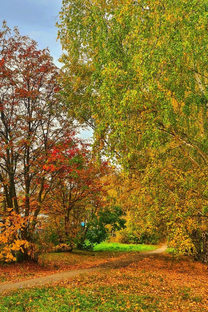 Photograph by Елена Квасова