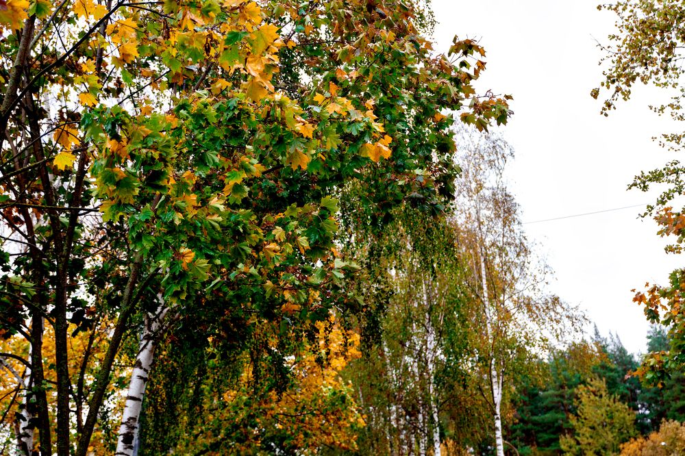 Photograph by Андрей Трубачев