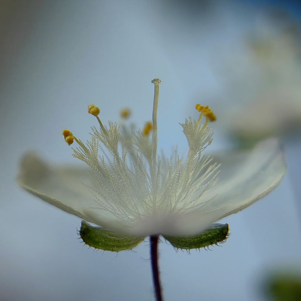 Photograph by Полина Мальцева