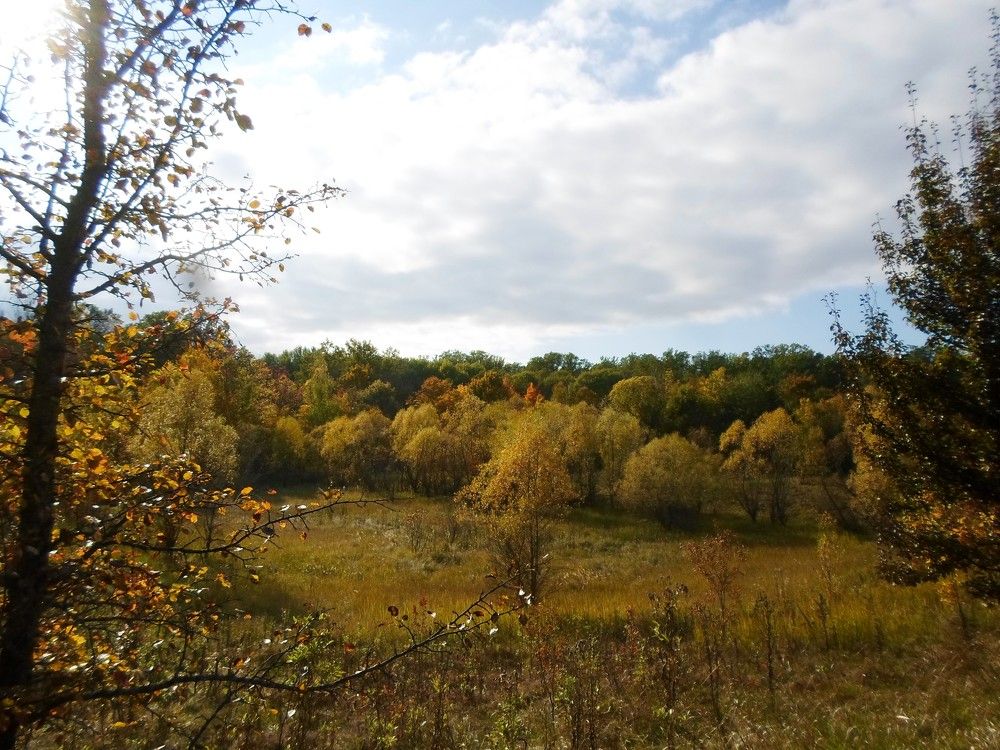 Photo #9656819