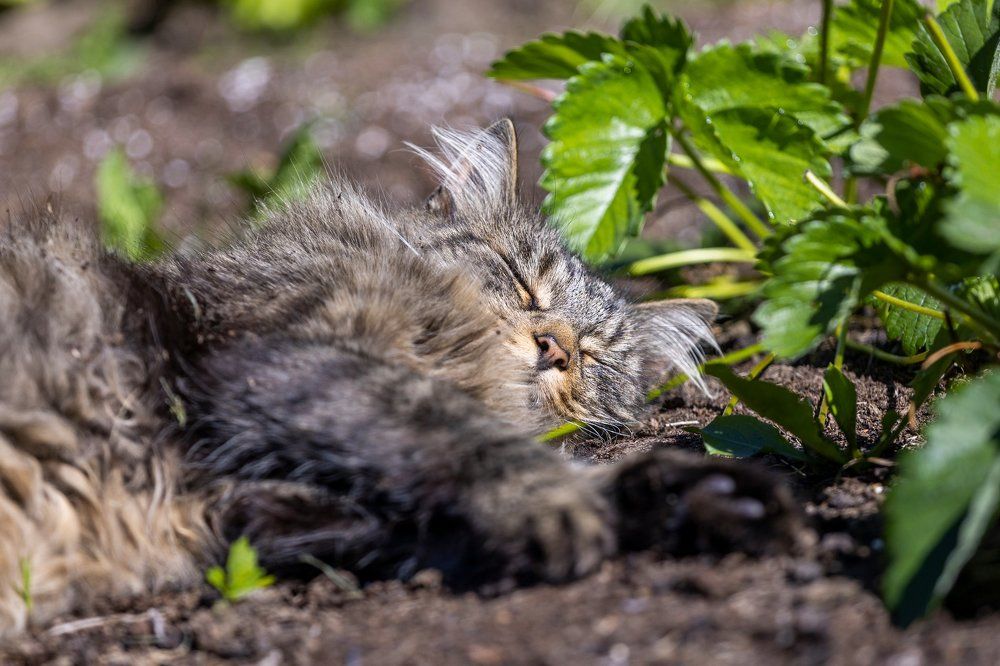 Photograph by Terēze Štube