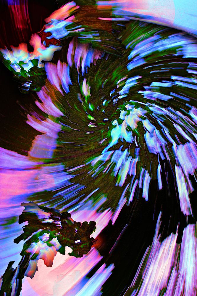 Год дракона