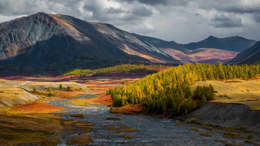 Photograph by Tatiana Meshcheryakova