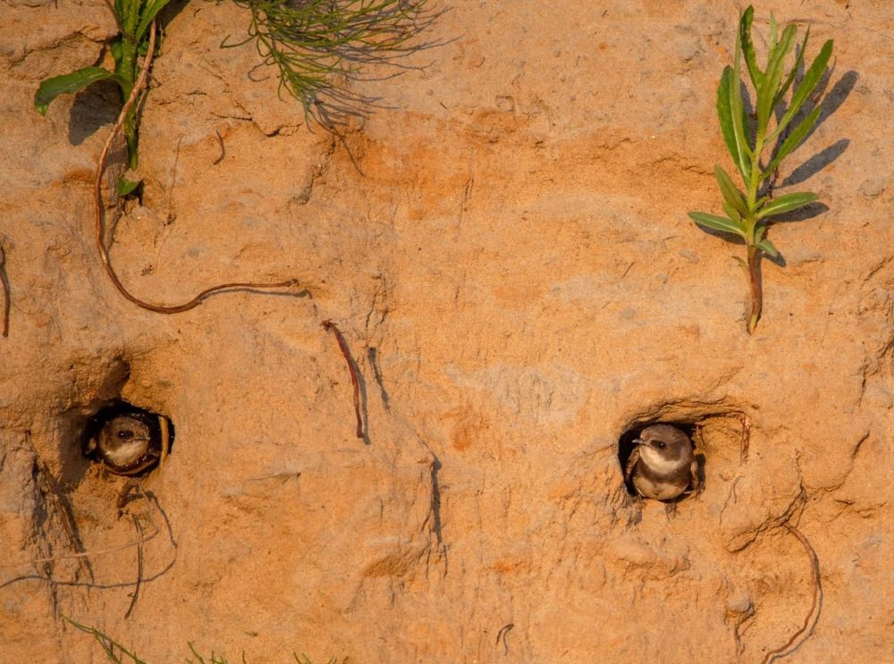 Photograph by Елена Хорохорина