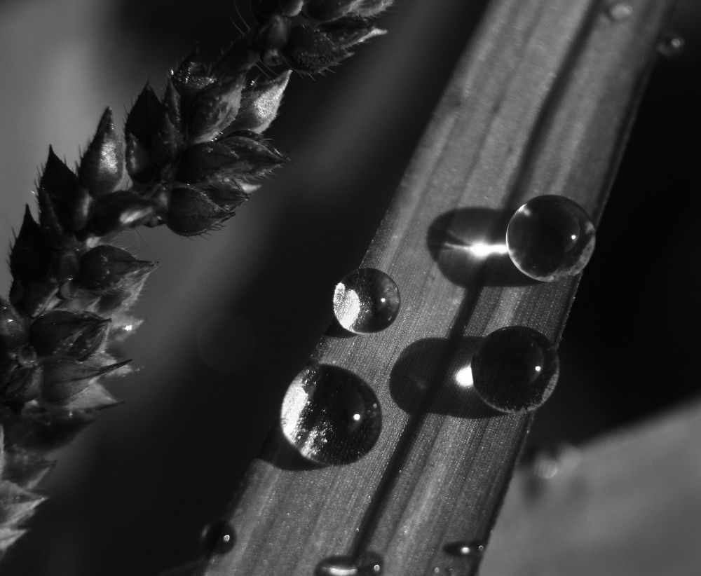 Photograph by Николай Косцов