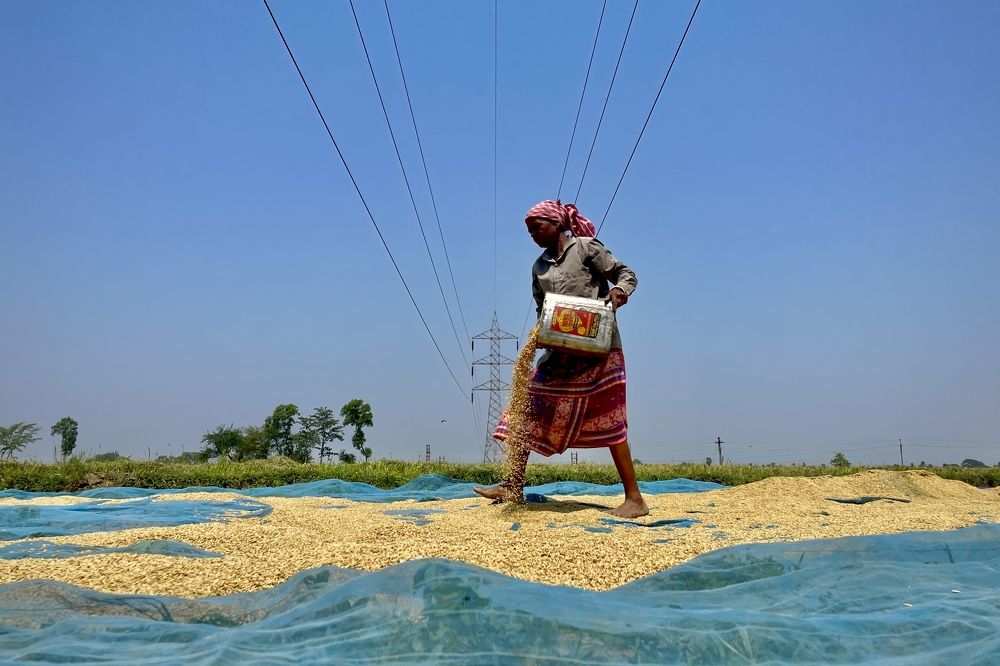 Фотография автора BIPLAB MISRA