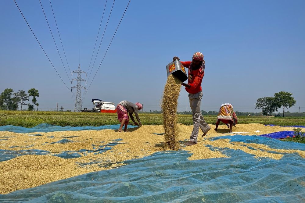 Фотография автора BIPLAB MISRA