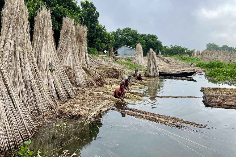 Фотография автора BIPLAB MISRA