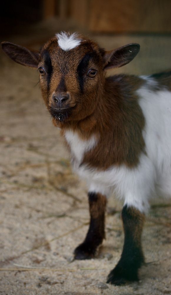 Photograph by Елена Ковалева