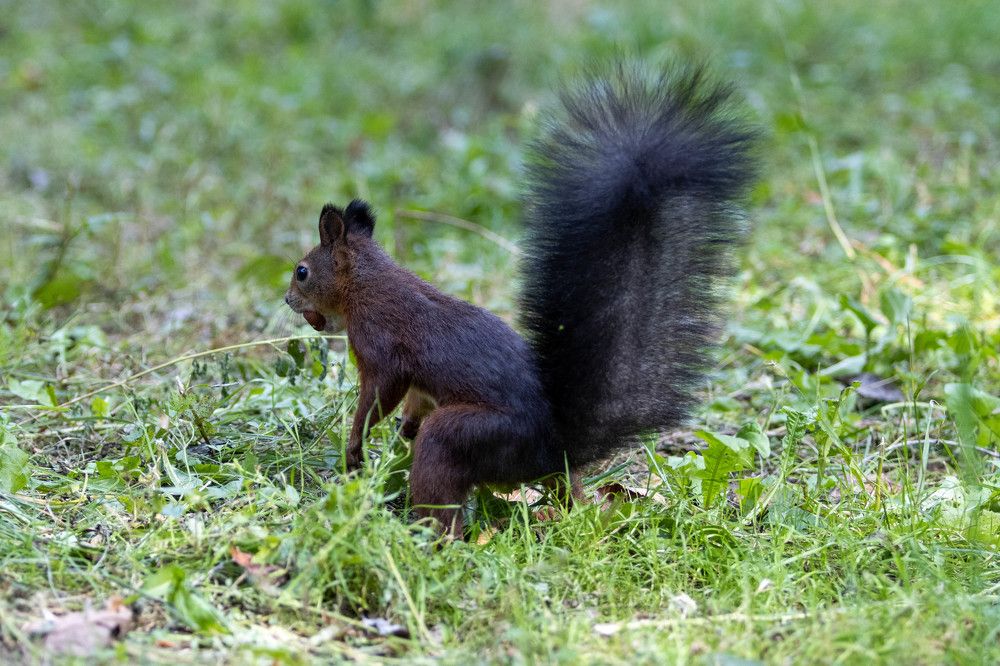 Photograph by Николай Шепелев